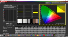 CalMAN ColorChecker (profil: sRGB, hedef renk uzayı: sRGB)