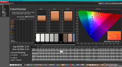 Kalibrasyondan önce ColorChecker