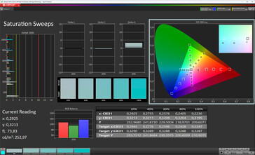 Renk doygunluğu dış ekran (Profil: Profesyonel, Standart; Hedef renk alanı: sRGB)
