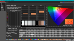 Kalibrasyondan sonra ColorChecker