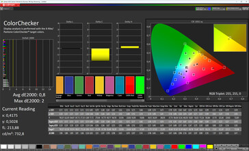 Renk doğruluğu (renk düzeni Standart, renk sıcaklığı Standart, hedef renk alanı sRGB)