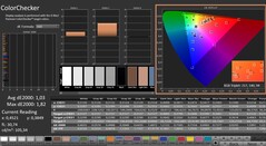 CalMAN: ColorChecker (kalibre edilmiş)