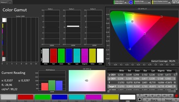 CalMAN sRGB Renk Uzayı - Referans modu