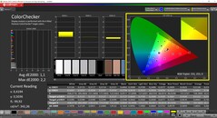 CalMAN ColorChecker (profil: sRGB, renk hedef uzayı: sRGB)