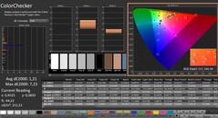 CalMAN: ColorChecker (kalibre edilmiş)