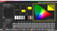 CalMAN ColorChecker (profil: sRGB, hedef renk uzayı: sRGB)