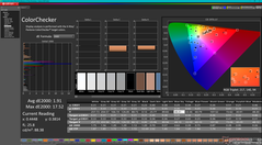 Kalibrasyondan sonra ColorChecker