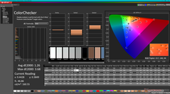 Kalibrasyondan sonra ColorChecker