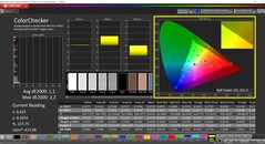 CalMAN ColorChecker (profil: sRGB, hedef renk uzayı: sRGB)