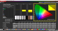 CalMAN ColorChecker (profil: AdobeRGB, hedef renk uzayı: AdobeRGB)