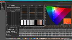 Kalibrasyondan sonra ColorChecker