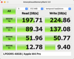 Amorf Bellek Mark M4 Pro