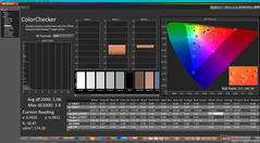 Kalibrasyondan sonra ColorChecker