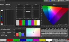 Renk alanı sRGB (True Tone devre dışı)