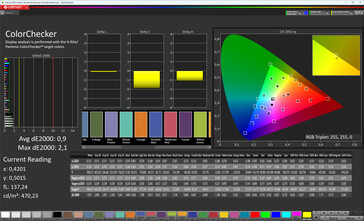 Dahili ekran renk doğruluğu (Profil: Profesyonel, Standart; Hedef renk alanı: sRGB)