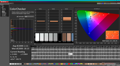 Kalibrasyondan sonra ColorChecker