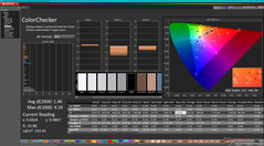 Kalibrasyondan sonra ColorChecker