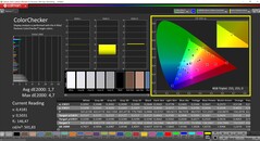 CalMAN ColorChecker (Profil: sRGB, Hedef Renk Alanı: sRGB)