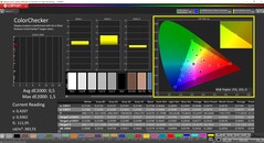 CalMAN ColorChecker (profil: sRGB, hedef renk uzayı: sRGB)