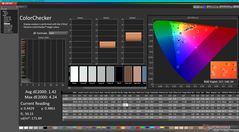 Kalibrasyondan sonra ColorChecker