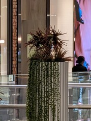 30x Pro Res Yakınlaştırma