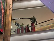 5x optik yakınlaştırma