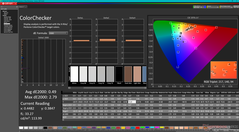 Kalibrasyondan sonra ColorChecker