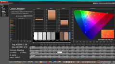 Kalibrasyondan sonra ColorChecker (P3'e karşı)