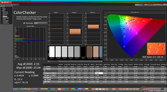 Kalibrasyondan sonra ColorChecker