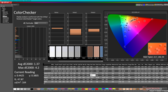 Kalibrasyondan sonra ColorChecker